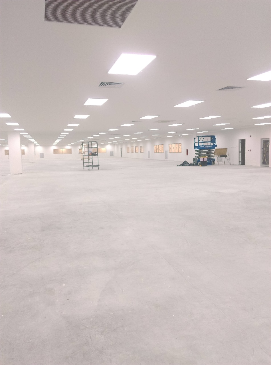 Proyecto Inteligencia Eléctrica